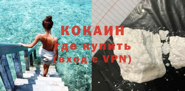спайс Каменка