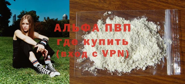 спайс Каменка
