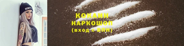 спайс Каменка