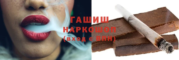спайс Каменка