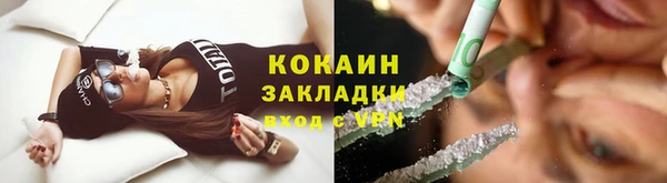 спайс Каменка