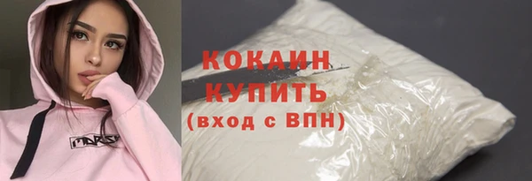 спайс Каменка