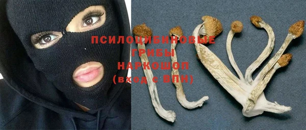 кокаин колумбия Каменногорск