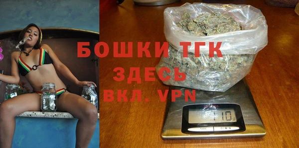 спайс Каменка