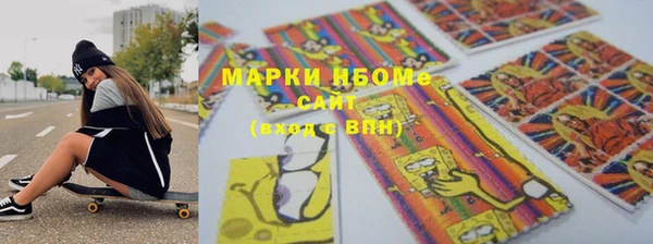 спайс Каменка