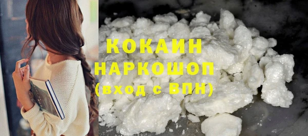 спайс Каменка